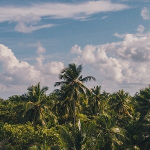 Meet your Posher, Anabelle